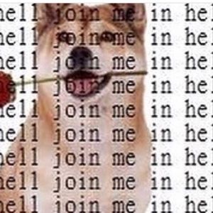 Meet your Posher, Matt